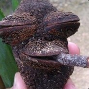 Hs^Sport!nG # Fatal1T