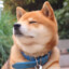 疯狂老八
