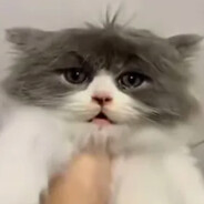 Zefenox