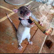 Perereco Buceto - steam id 76561199471700340