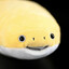 fishiboigary