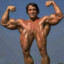Arnold_FreakiNegger745