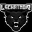 le_chat_noir