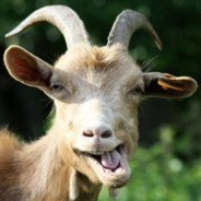 Chevro