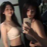 这只伶俐的棕色狐狸跳过一只慵懒的狗