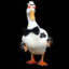 TTVNachoDuck24