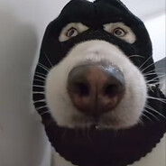 疯狗Dig your ancestral grave