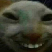 Mashaaaaa