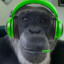 Monke official