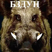 какош ипапригол#2016