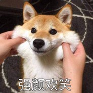 胜天半子狗狗橙