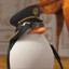 Skipper