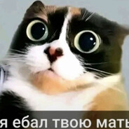 Дима Колядєнко