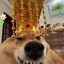 bubu