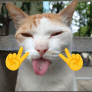 悄悄修机，打枪滴不要