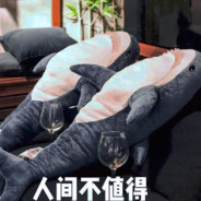 喇叭桑家乡的樱花落了