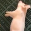 RUDOLFO(pig)