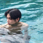 我知天高任鸟飞也知话