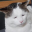 JoWoom's avatar