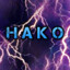 HaKo45