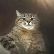 󠀡󠀡᠌ ⁧⁧mevržej