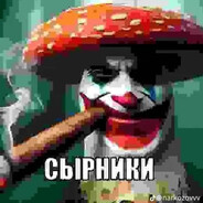 RR - steam id 76561198972108541