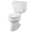 Kohler K-3519-T 1.0 GPF Toilet