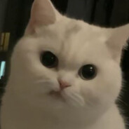 你说的都对