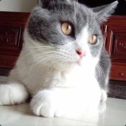 鸭爪在转角卖我