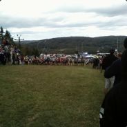Aint wirth it - steam id 76561197961439601