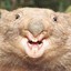 FrothingWombat