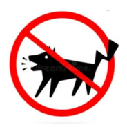 商鞍知马力，比干见人心