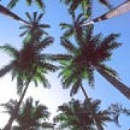 IpX - steam id 76561197962849859