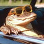 GatorXP