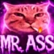 Mr. Ass