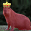 ☩RedKing♔Capybara☩