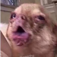 ISuckAss - steam id 76561199117475316