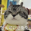 胡桃克星