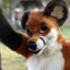 ✪ YiffPeek(CEO) - Fraggy