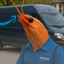Shrimp Courier