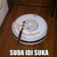 Roomba