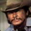 Charles Bronson