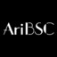 AriBsc