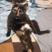 Волнистый угорь