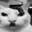 Kittler o/