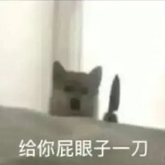 健康的肺（点一根以揭露真实形态！）