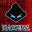 BlackNinja.