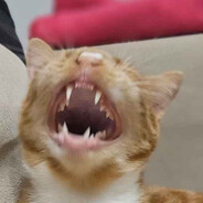 Rudyyy