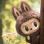 Labubu's avatar