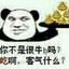 老随风